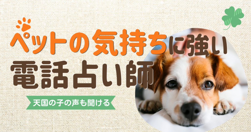 電話占い　ペットの気持ち
